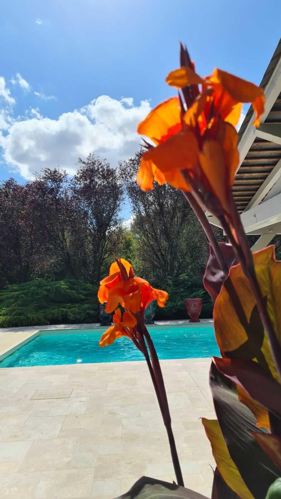Bed and Breakfast Domaine De La Blonnerie Feings  Exterior foto