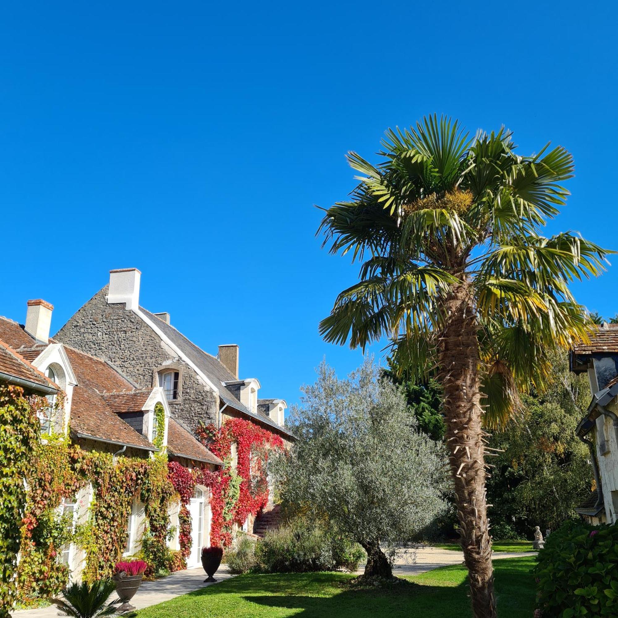 Bed and Breakfast Domaine De La Blonnerie Feings  Exterior foto