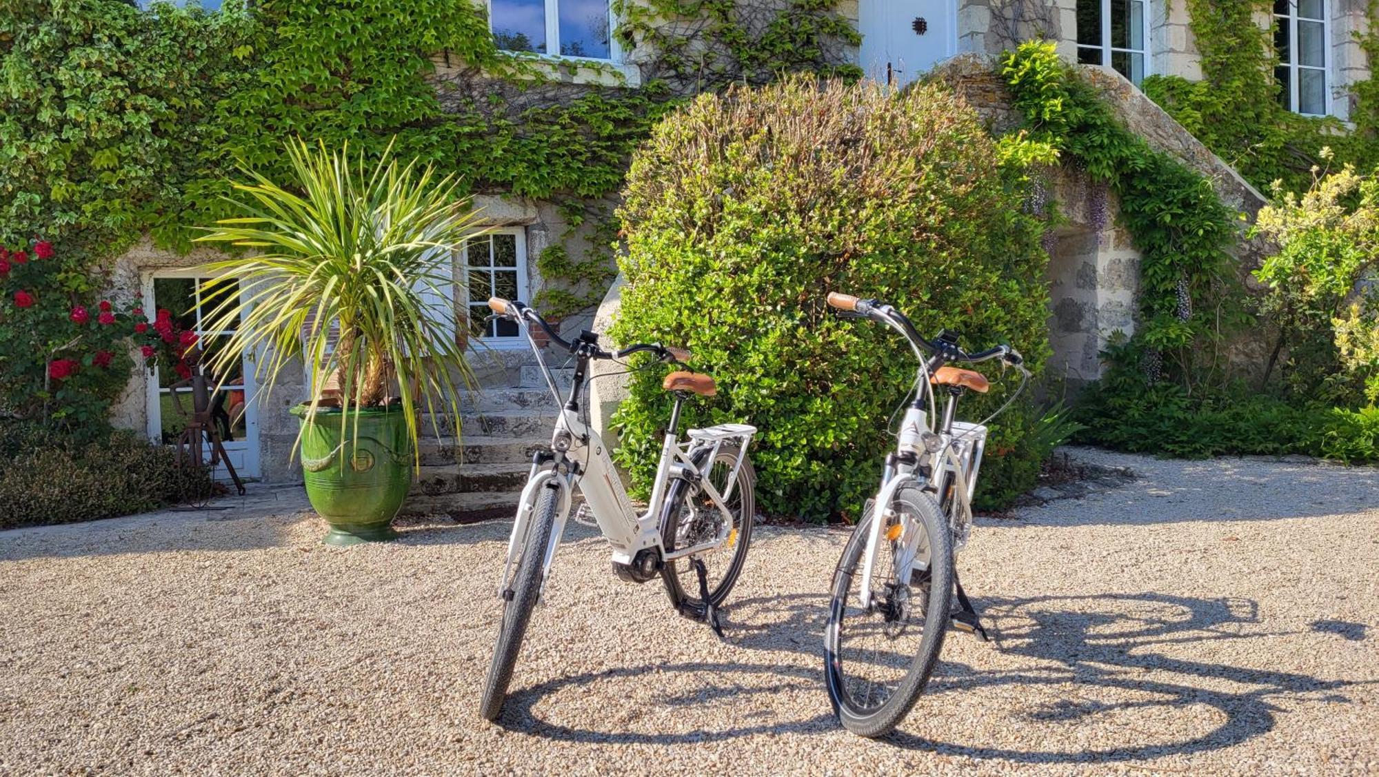 Bed and Breakfast Domaine De La Blonnerie Feings  Exterior foto